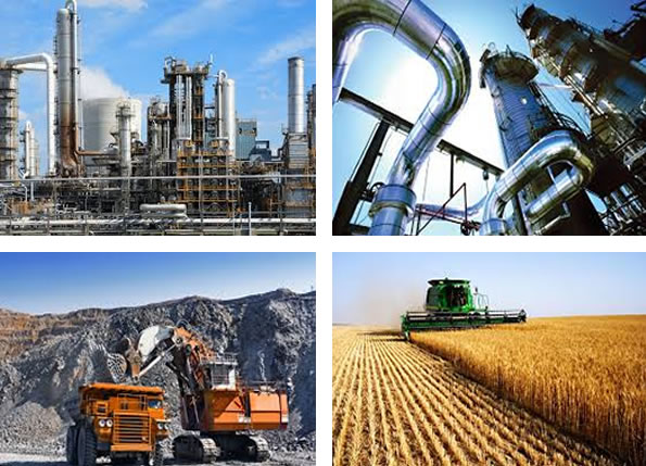 sectors